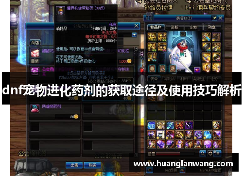 dnf宠物进化药剂的获取途径及使用技巧解析