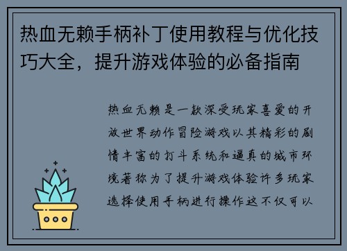 热血无赖手柄补丁使用教程与优化技巧大全，提升游戏体验的必备指南